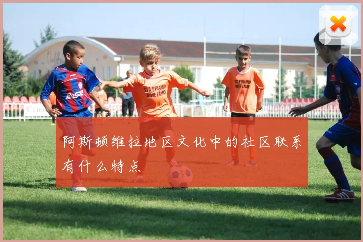 阿斯顿维拉地区文化中的社区联系有什么特点