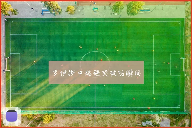 罗伊斯中路强突破防瞬间