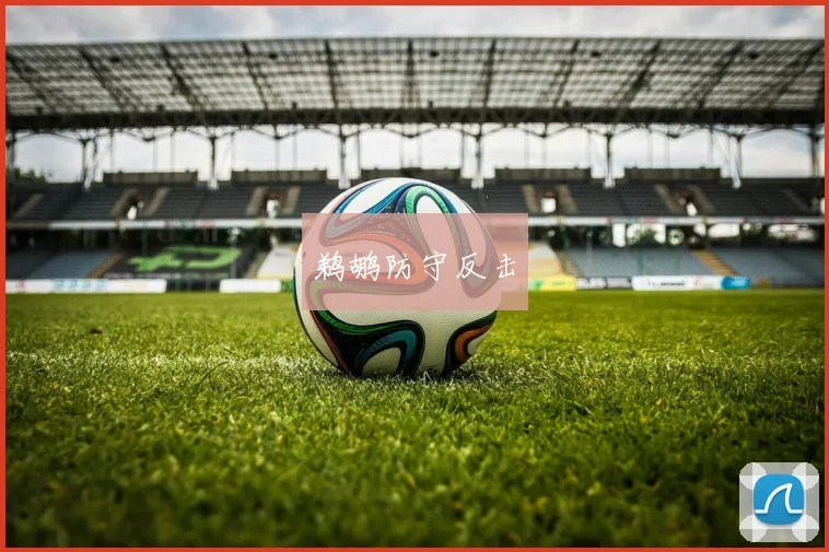 鹈鹕防守反击