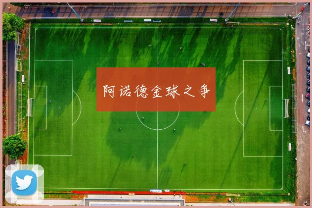 阿诺德金球之争