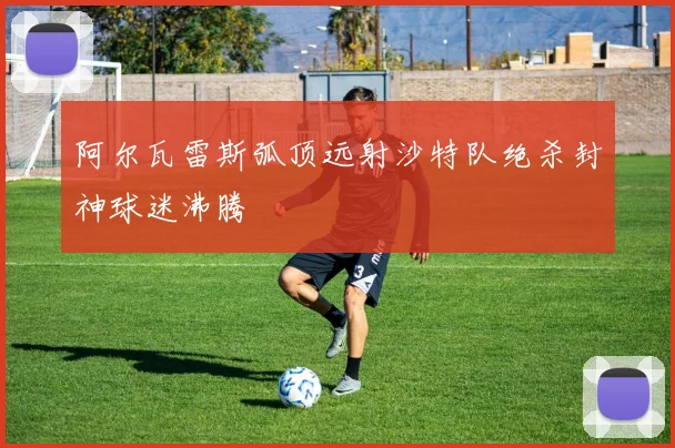 阿尔瓦雷斯弧顶远射沙特队绝杀封神球迷沸腾