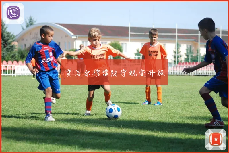 贾马尔穆雷防守蜕变升级