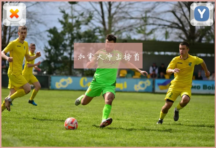 加拿大冲击榜首