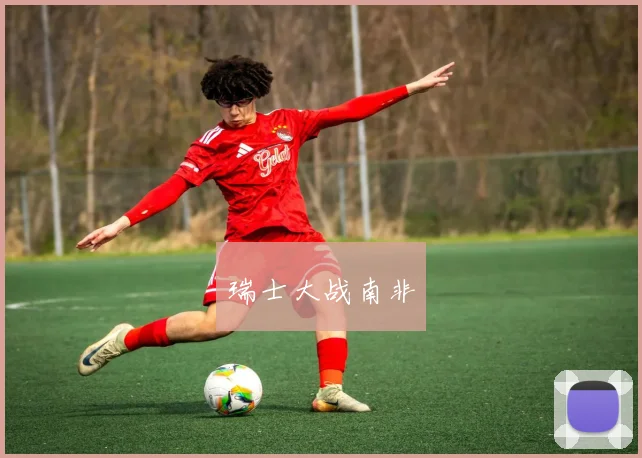 瑞士大战南非