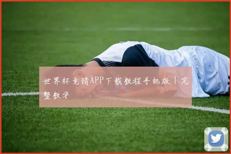 世界杯竞猜APP下载教程手机版｜完整教学