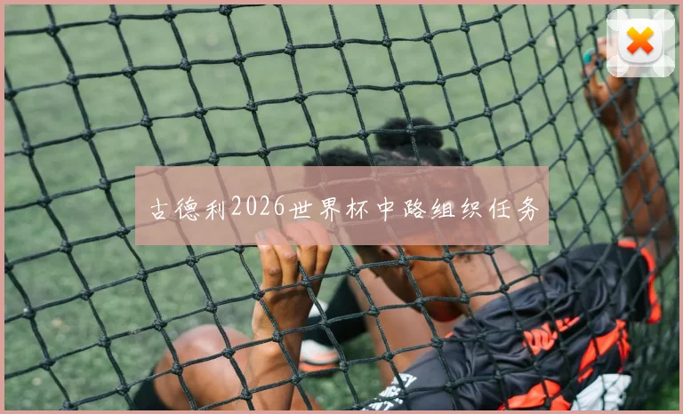 古德利2026世界杯中路组织任务