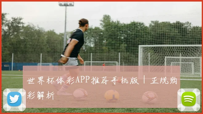 世界杯体彩APP推荐手机版｜正规购彩解析