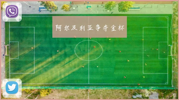 阿尔及利亚争夺金杯