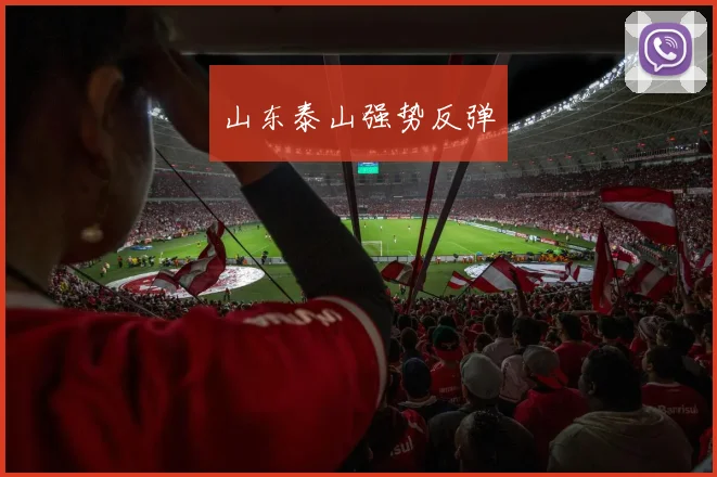 山东泰山强势反弹