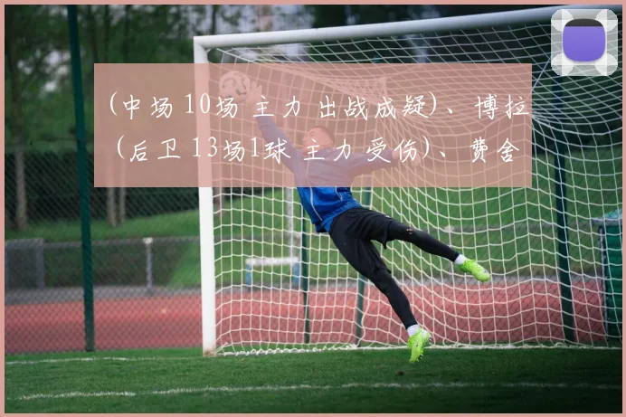 (中场 10场 主力 出战成疑)、博拉 (后卫 13场1球 主力 受伤)、费舍尔 (后卫 0场 替补 受伤)、阿梅奥比 (中场 0场 替补 受伤)、帕耶罗 (中场 12场1球 主力 受伤)