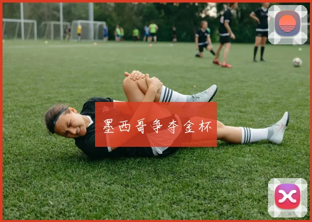 墨西哥争夺金杯