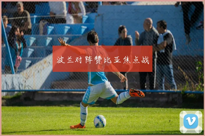 波兰对阵赞比亚焦点战