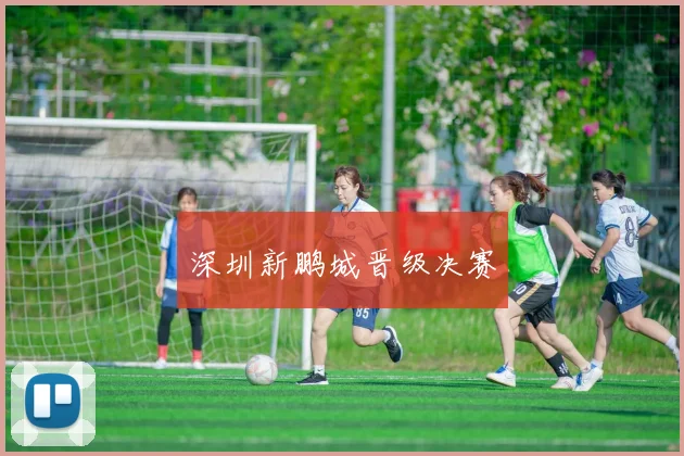 深圳新鹏城晋级决赛