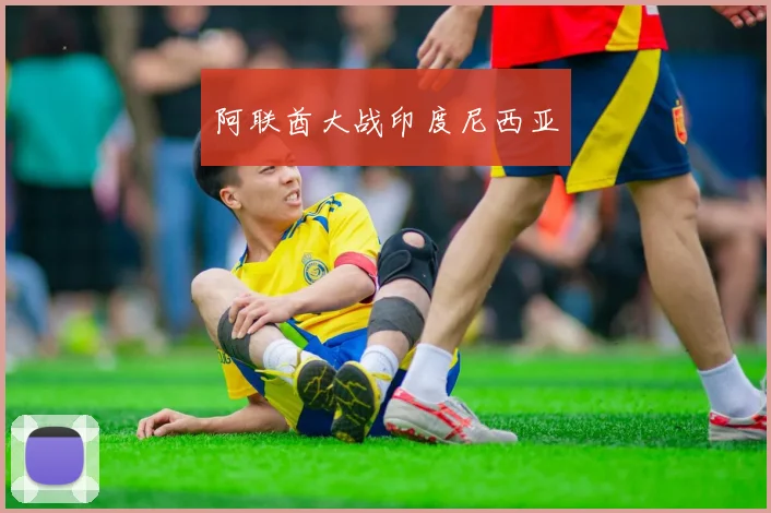 阿联酋大战印度尼西亚