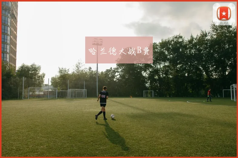 哈兰德大战B费