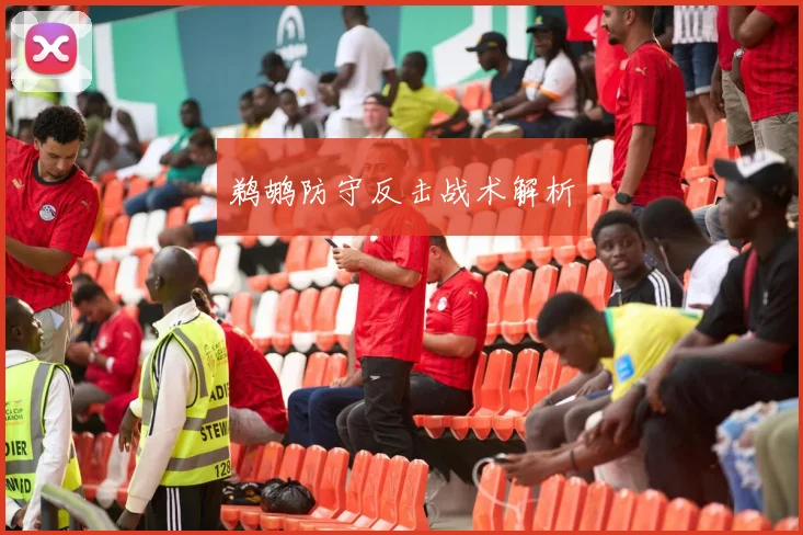 鹈鹕防守反击战术解析