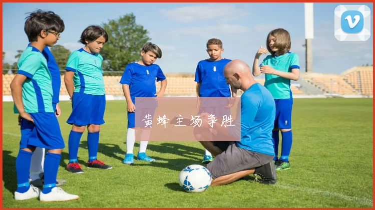 黄蜂主场争胜