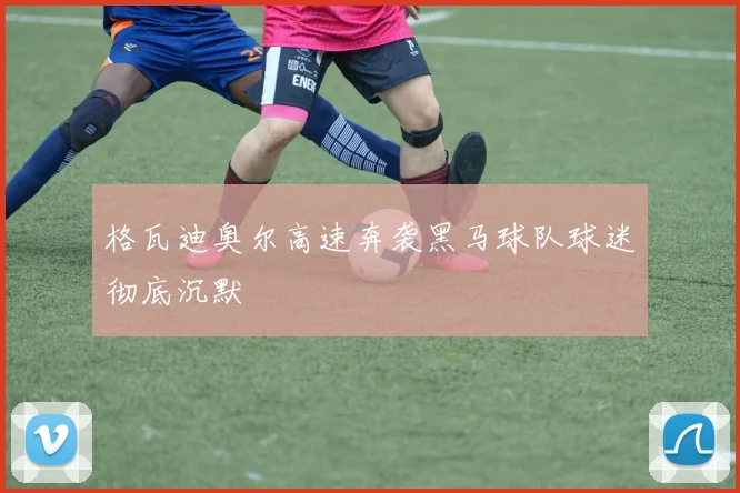 格瓦迪奥尔高速奔袭黑马球队球迷彻底沉默