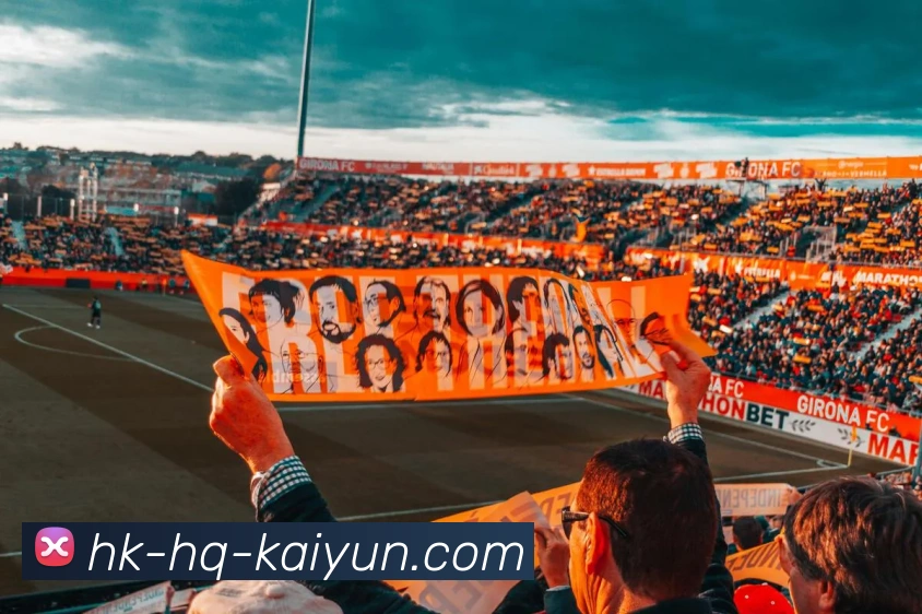 关于开云Kaiyun体育app官方入口