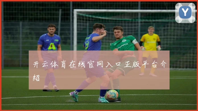 开云体育在线官网入口正版平台介绍