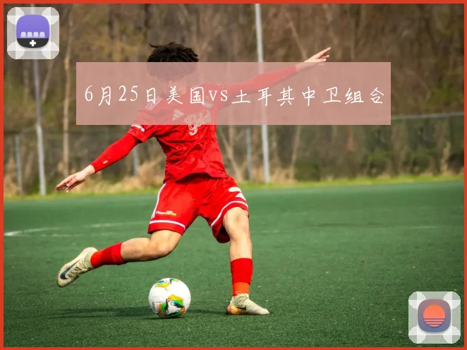 6月25日美国vs土耳其中卫组合